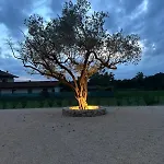 Dolcevita