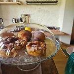 Dolcevita Torreano